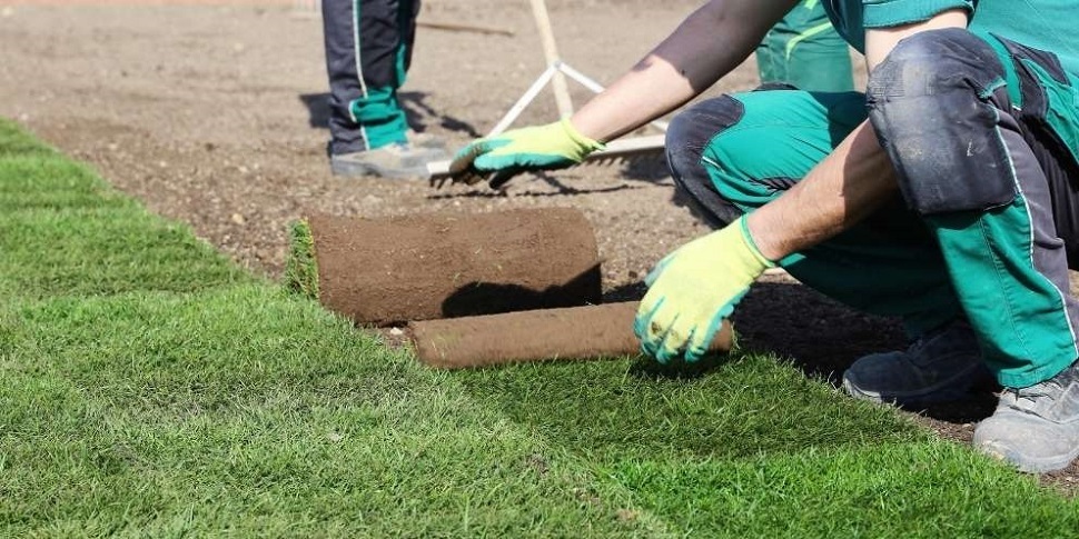Budapest, in Budapest, Hungary, Gardener, Gardening, Garden service, Landscaping, Tree lopping, felling, Paving service, Patio laying, Asphalt road, Driveway build, Lawn, Fence build, Irrigation system, Maintenance, Design