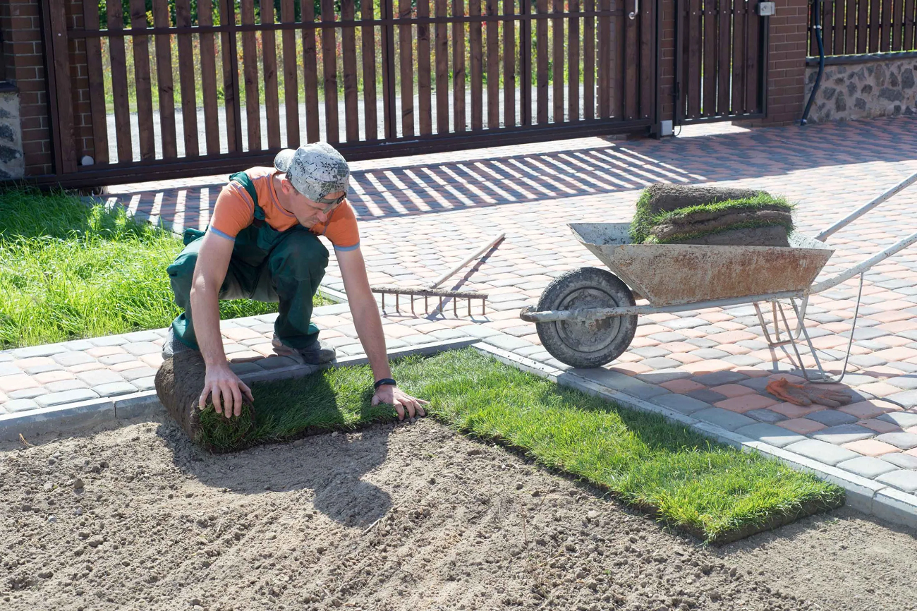 Budapest, in Budapest, Hungary, Gardener, Gardening, Garden service, Landscaping, Tree lopping, felling, Paving service, Patio laying, Asphalt road, Driveway build, Lawn, Fence build, Irrigation system, Maintenance, Design